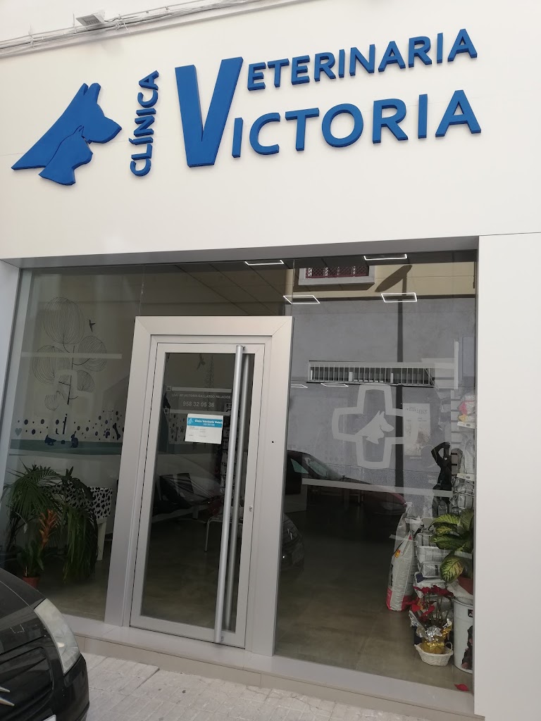 CLINICA VETERINARIA VICTORIA