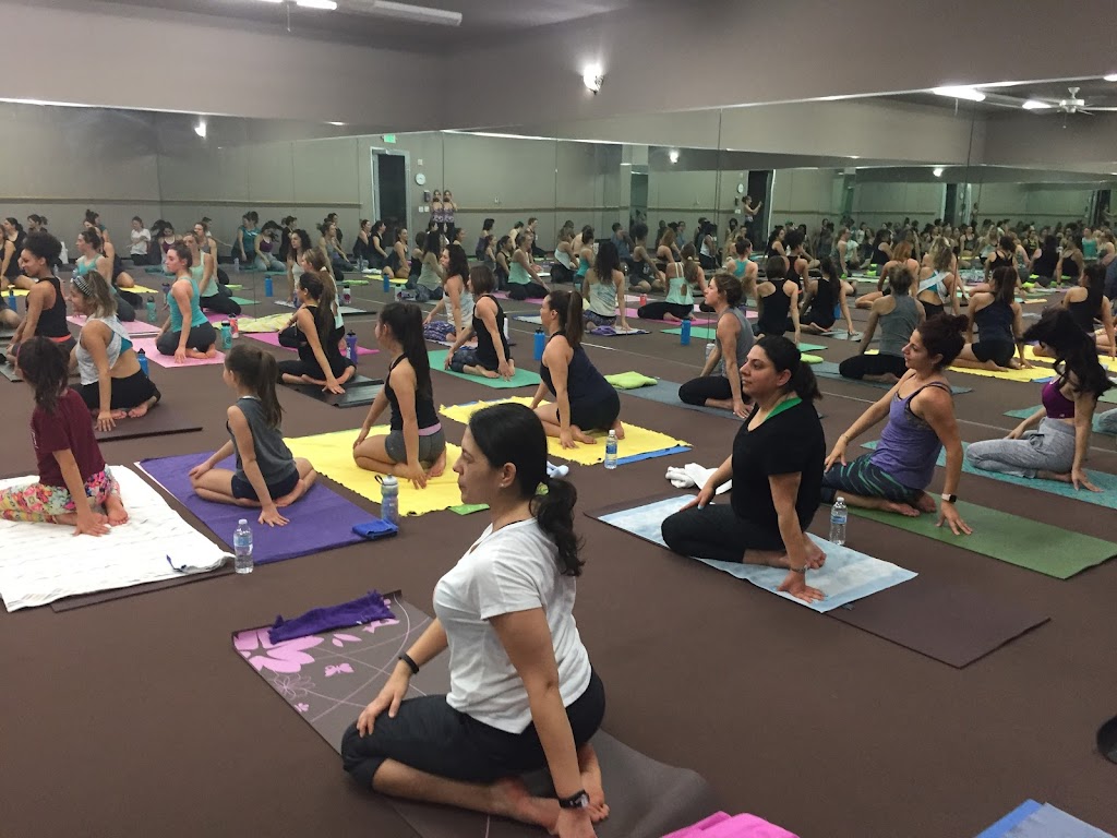  Best Yoga Studios make an appointment