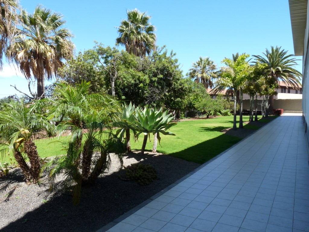 Centro Educativo Britanico S21 La Laguna — Del propietario