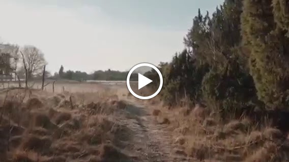  Ganesha’s Yoga and Wellness