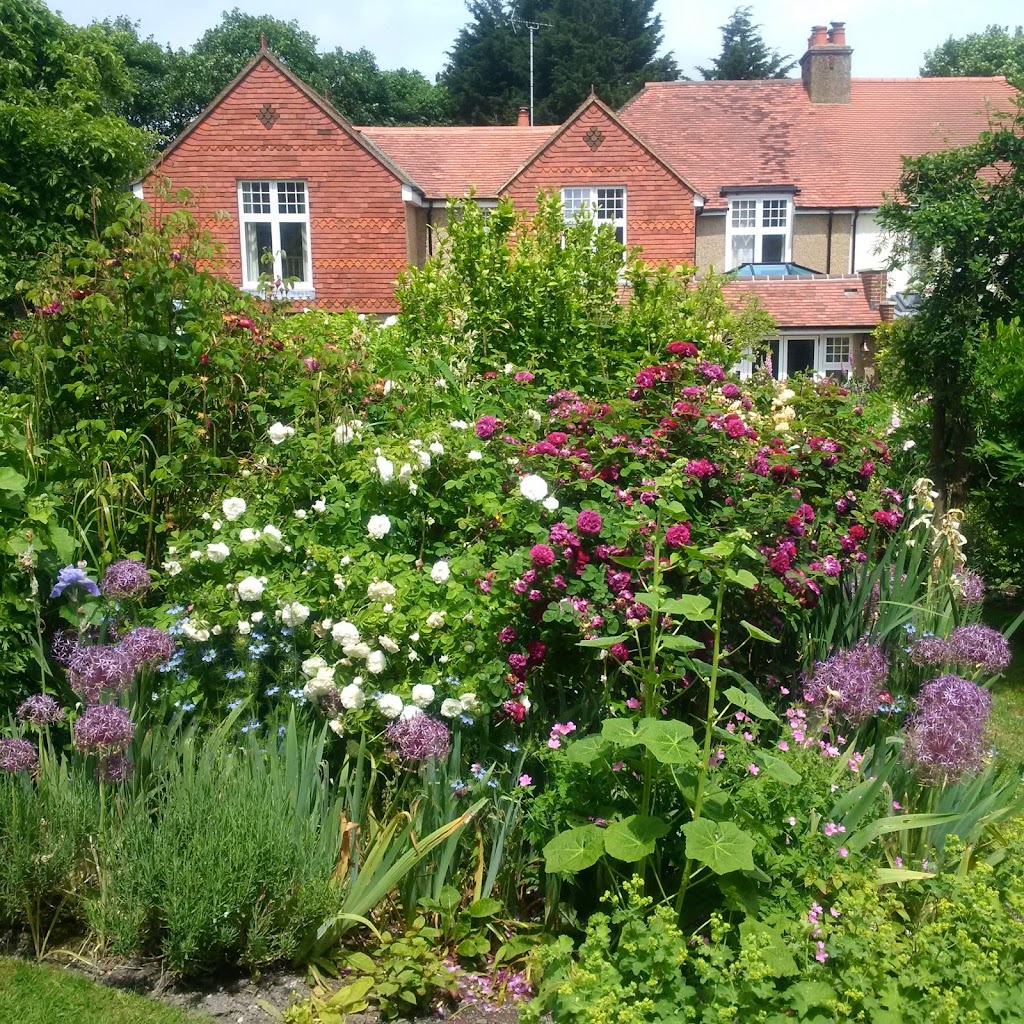 Hill View Bed Breakfast
