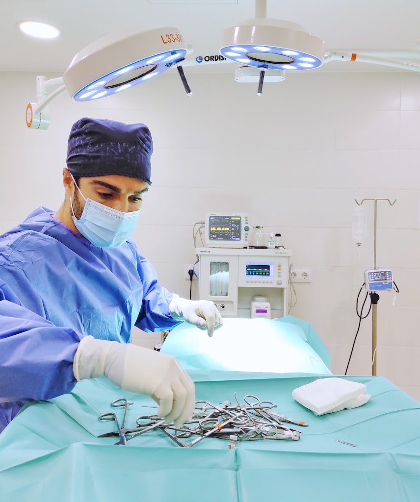Clinica Veterinaria Vidavet Londres — Del propietario