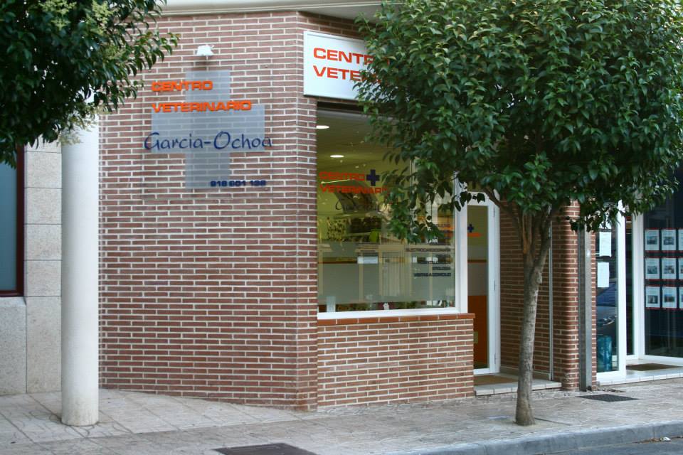 C Veterinario Garcia Ochoa
