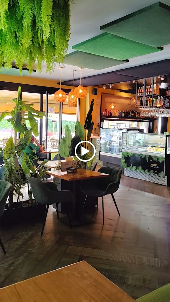 Bar Sapiens — Videos