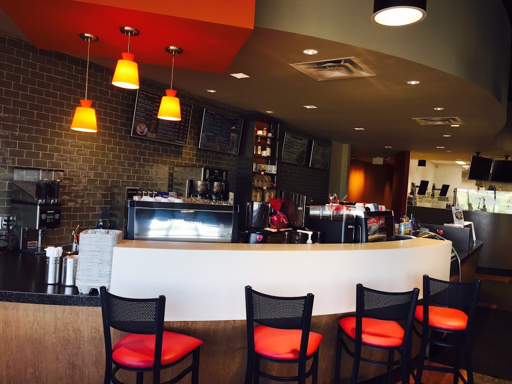 Urban Garden Salads and Pizza in Moose-Jaw