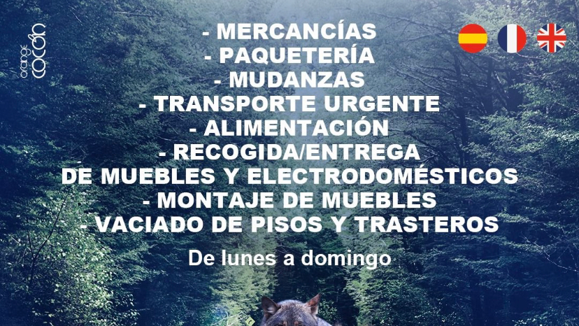 CASTELLS TRANSPORTES