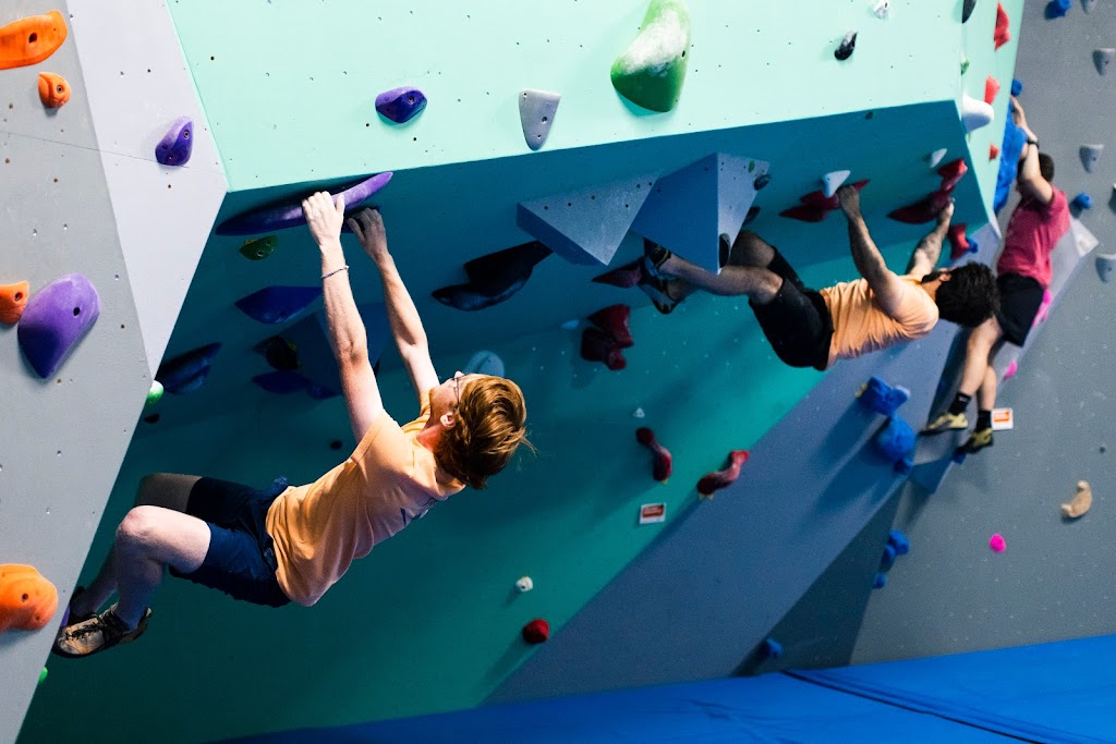  Black Hills Basecamp