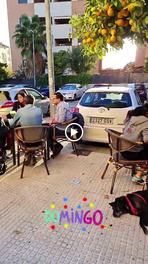 Gelato Roma — Videos