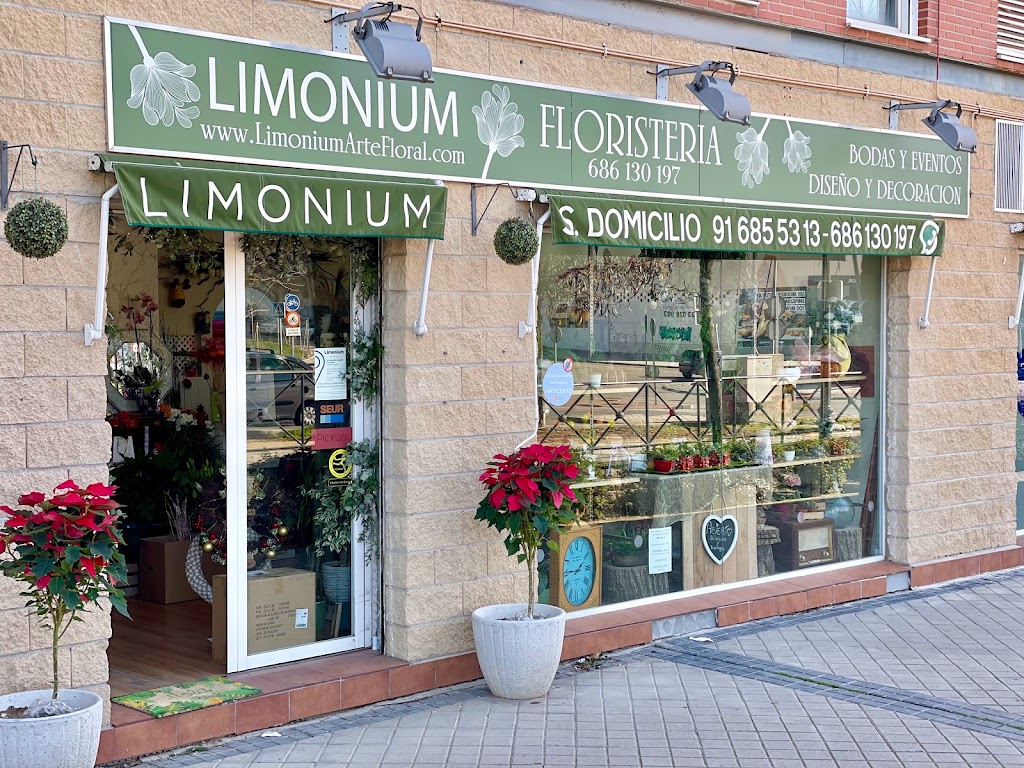 Limonium Arte Floral