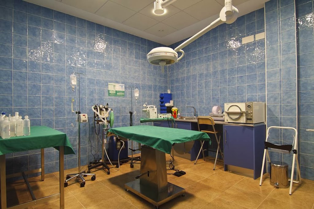 CEVAN (Centro Veterinario Andujar S.L.)