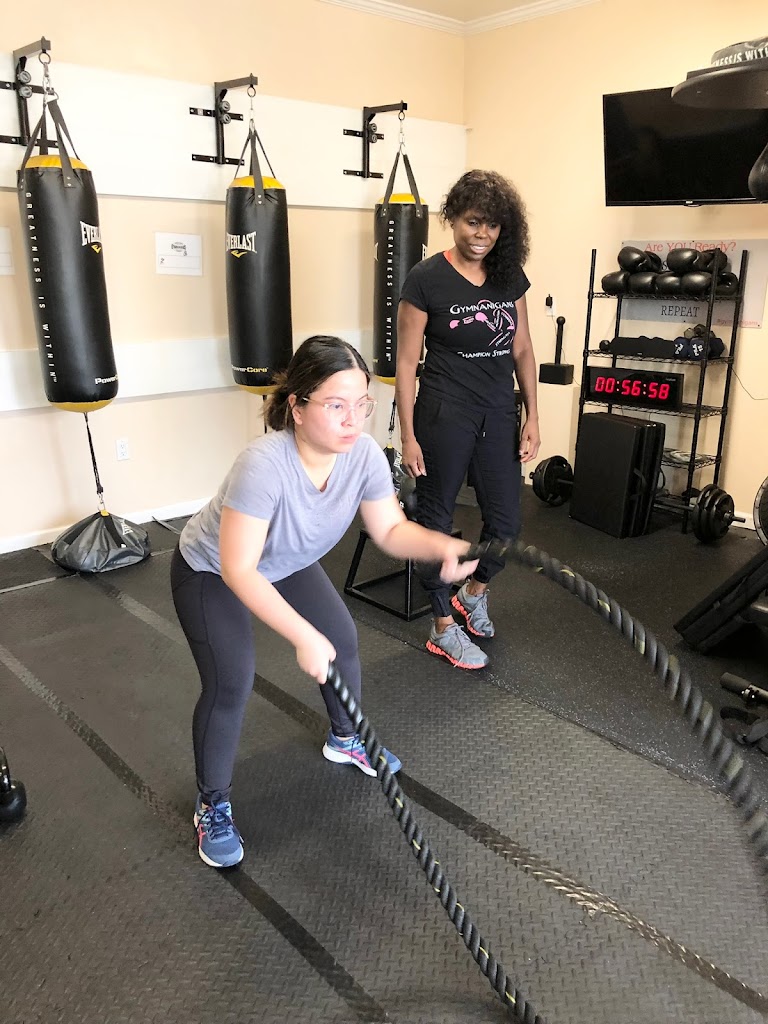  Gymnanigans Training Studio