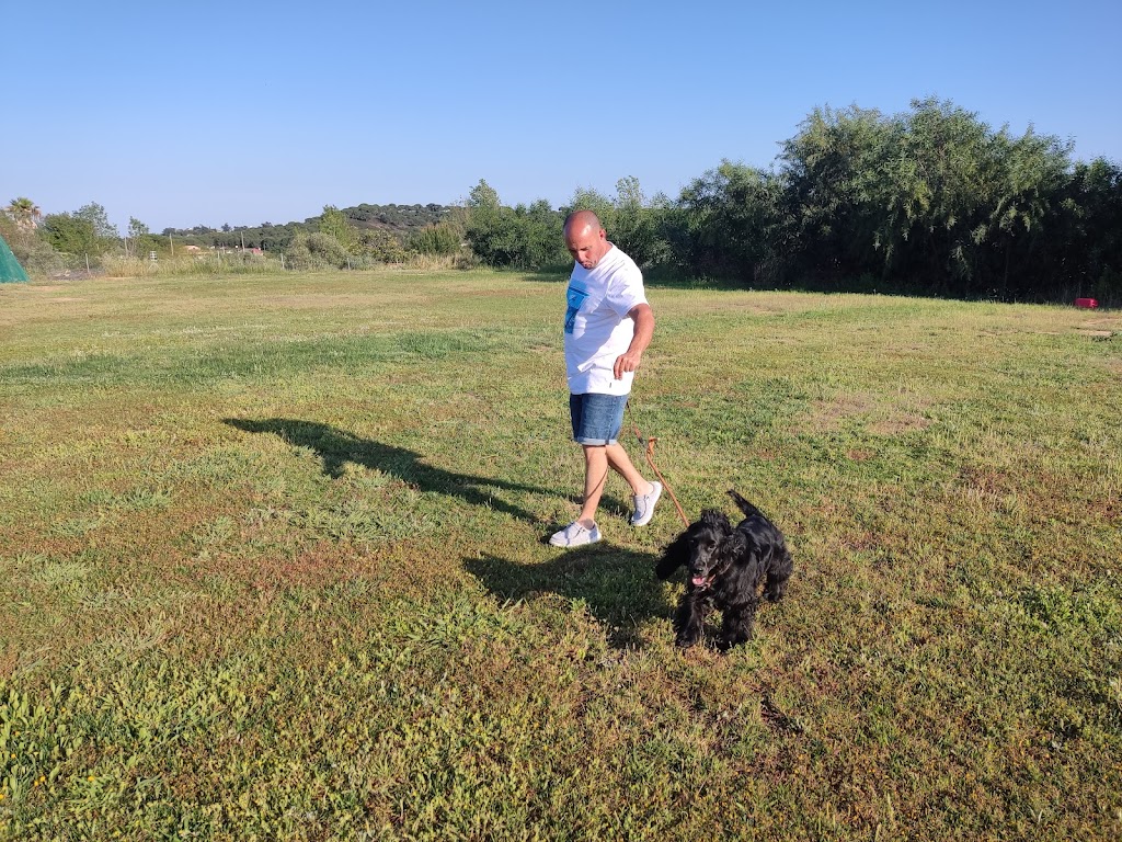 Escuela Canina La Dehesa Dog School & Hotel