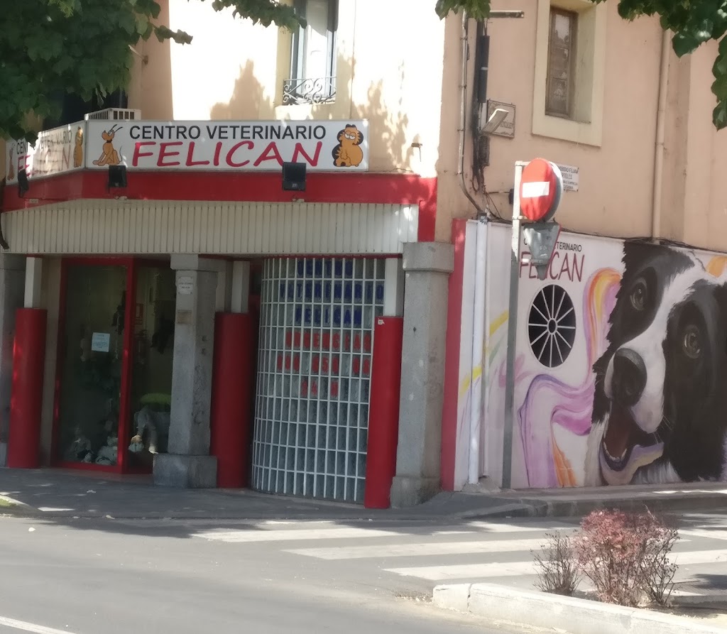 Centro Veterinario Felican Villalba — Del propietario