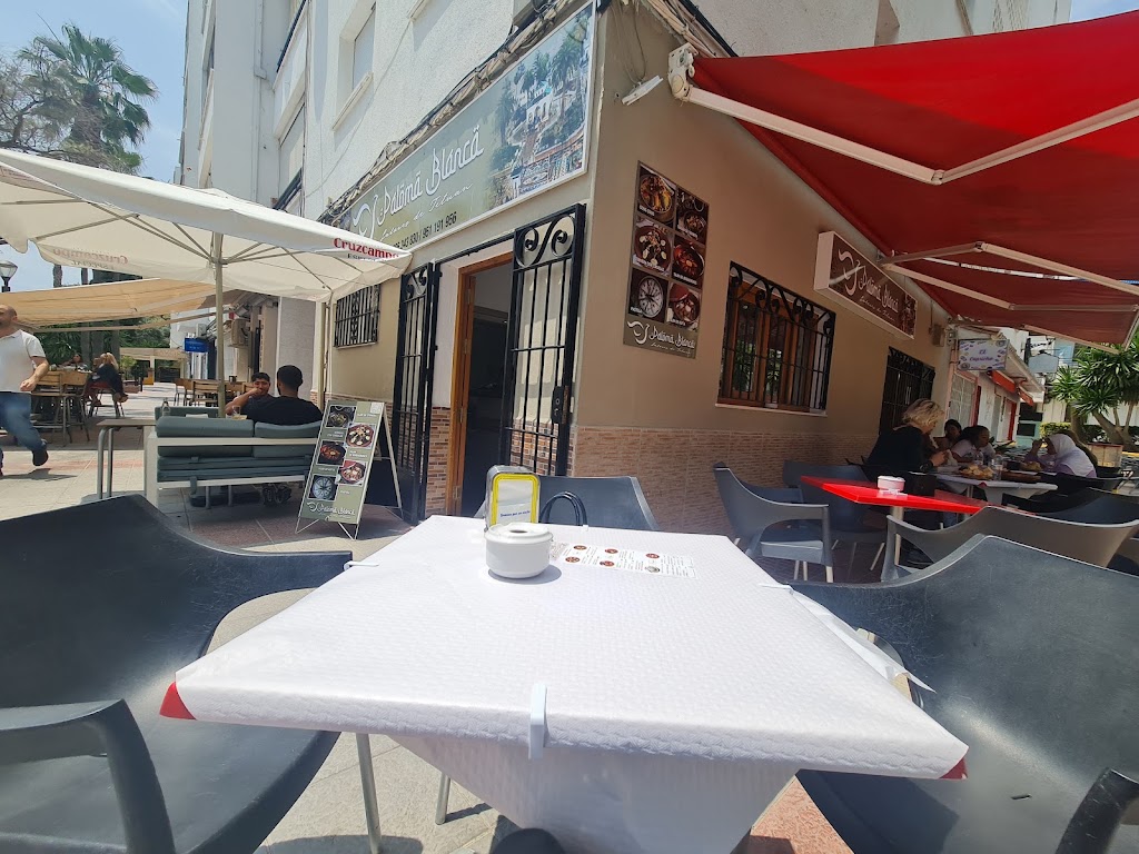 BAR PALOMA BLANCA — Ambiente