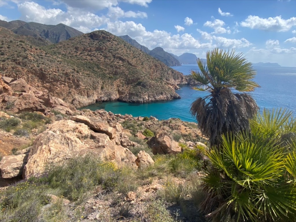 Senda de la Higuera