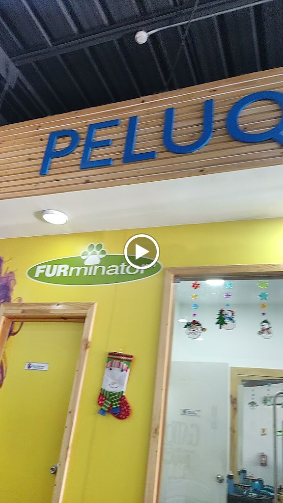 Vídeos