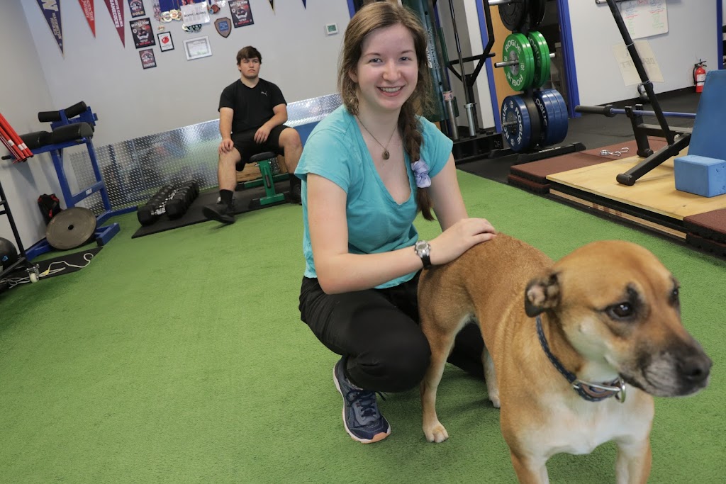  Progressive Performance - Woodinville