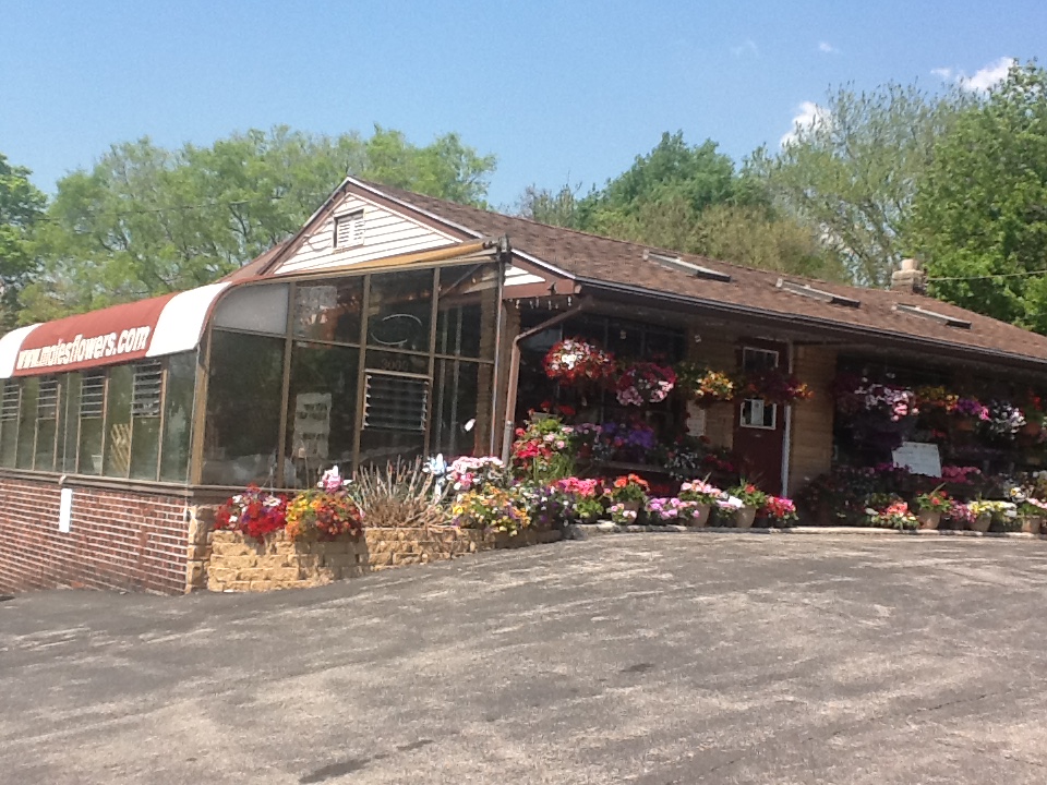Moles Flower & Gift Shop