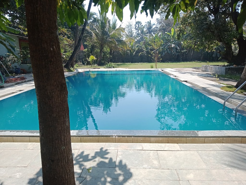 Jungle Chi Wadi