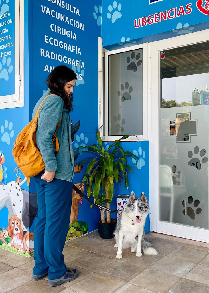 Clinica Veterinaria Garola — Del propietario