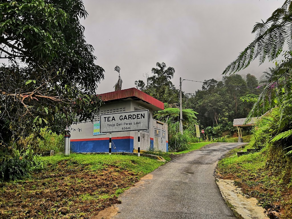 Tea Garden (Halfway House)