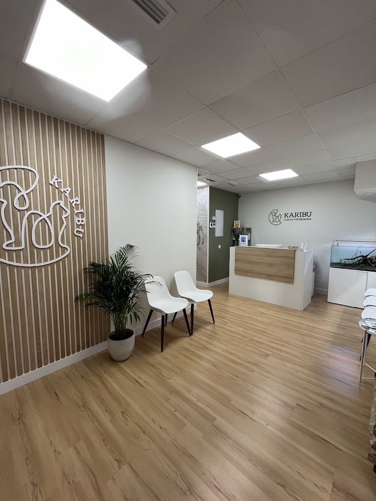 Clinica Veterinaria Karibu — Del propietario