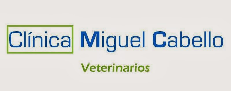 Clinica Veterinaria Miguel Cabello — Del propietario
