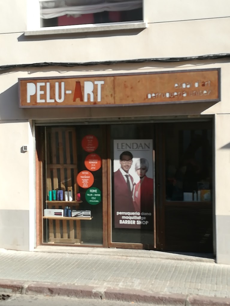 Pelu-Art Perruqueria Unisex