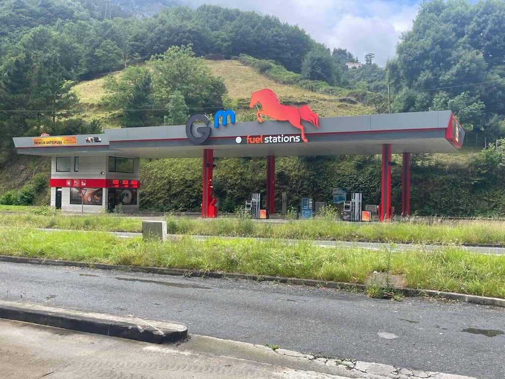Gm Fuel Stations Azpeitia II