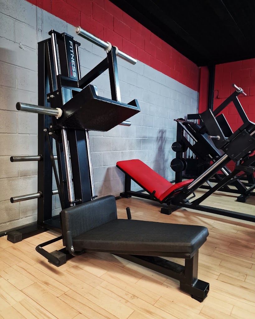 Olimpo Ngr Gym — Del propietario