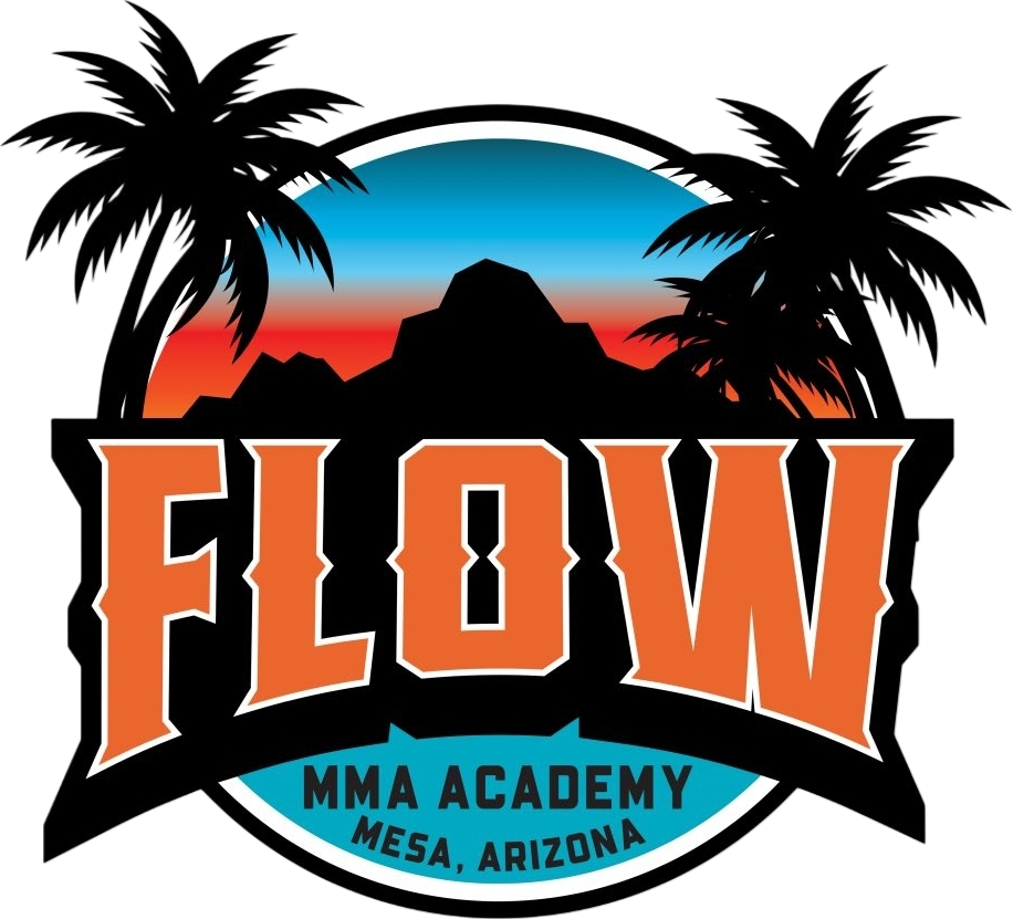  Flow MMA Academy