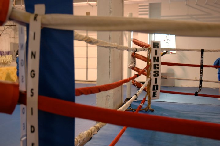  Short North Muay Thai