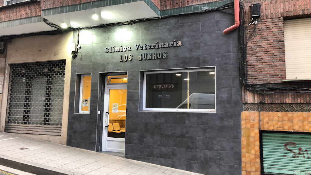 Clinica Veterinaria LOS BURROS