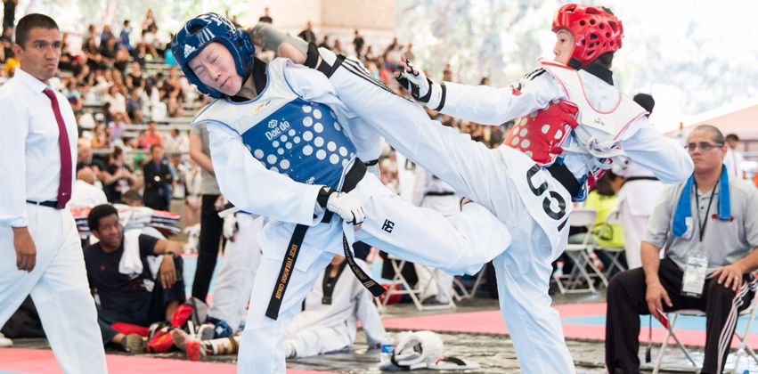  KNOCKOUT Martial Arts & Fitness