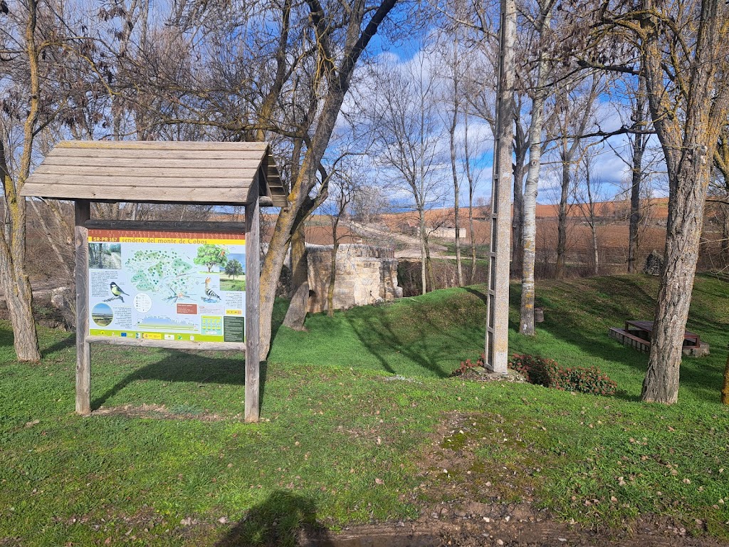 Sendero del Monte de Cobos