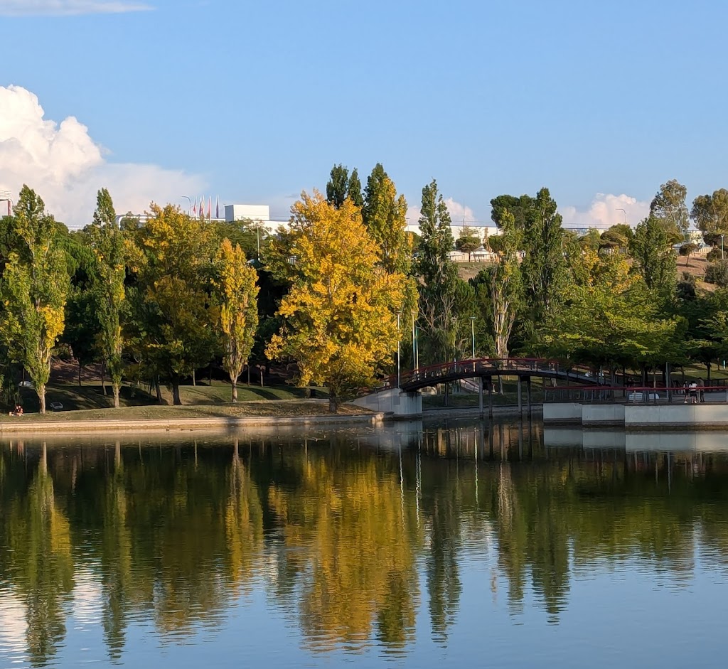 Jaime Mata Foresta 1