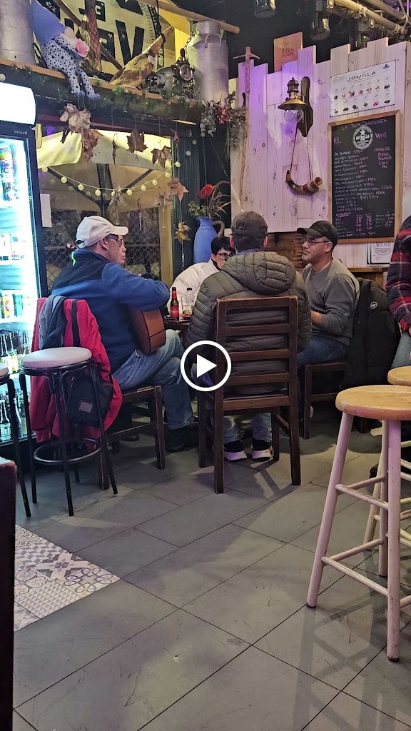 Cerveseria Venecia — Videos