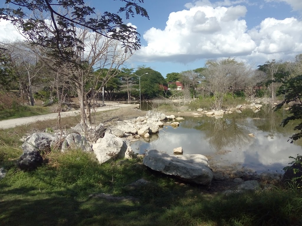 Parque Ecologico Del Poniente