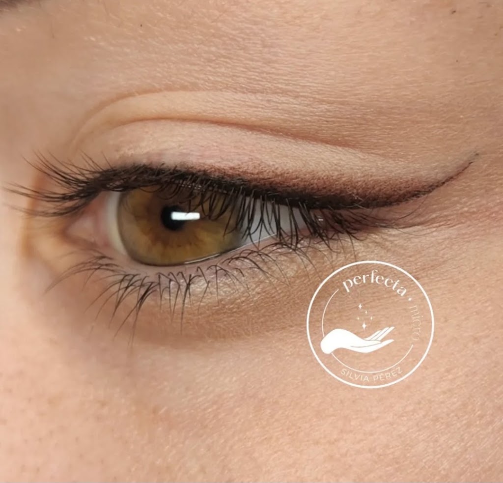 Microstyl — Mas recientes