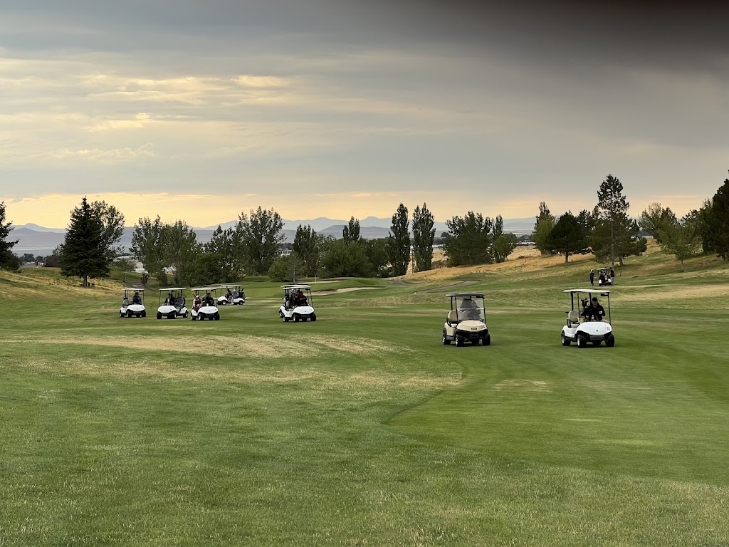  Innovative Golf Schools