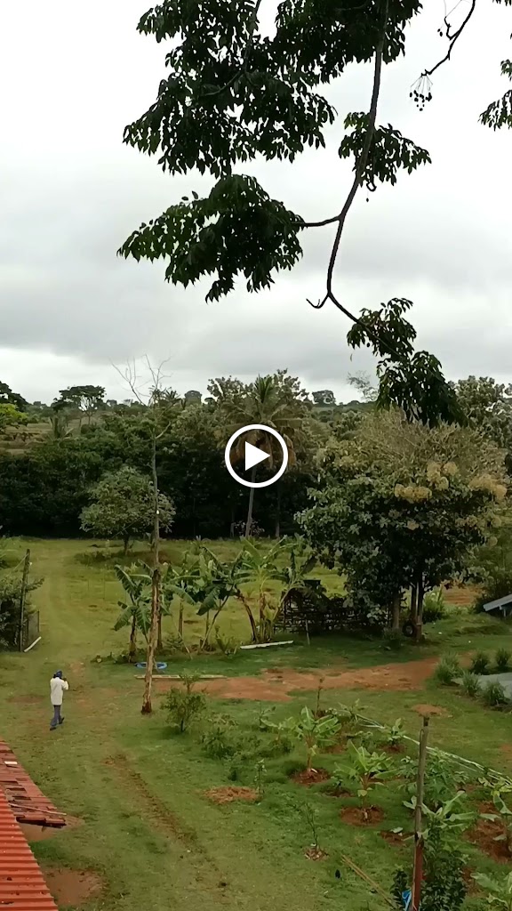 Videos
