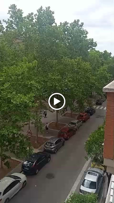 RONDA DE MAR — Videos