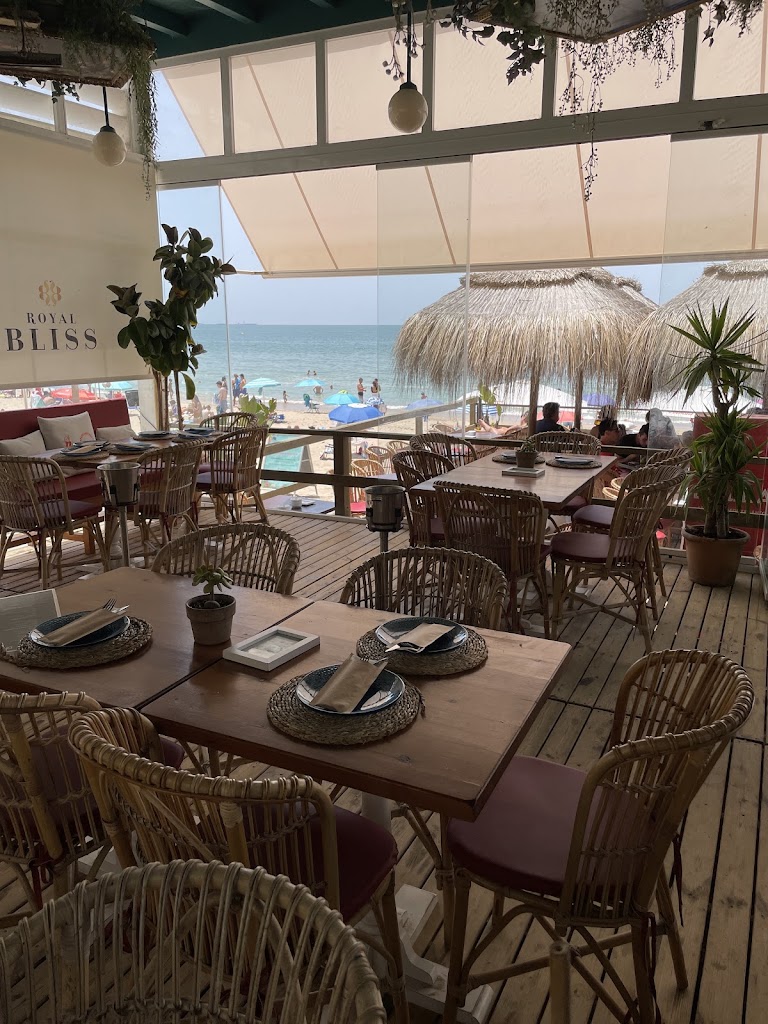 Restaurante Demente Puerto — Ambiente