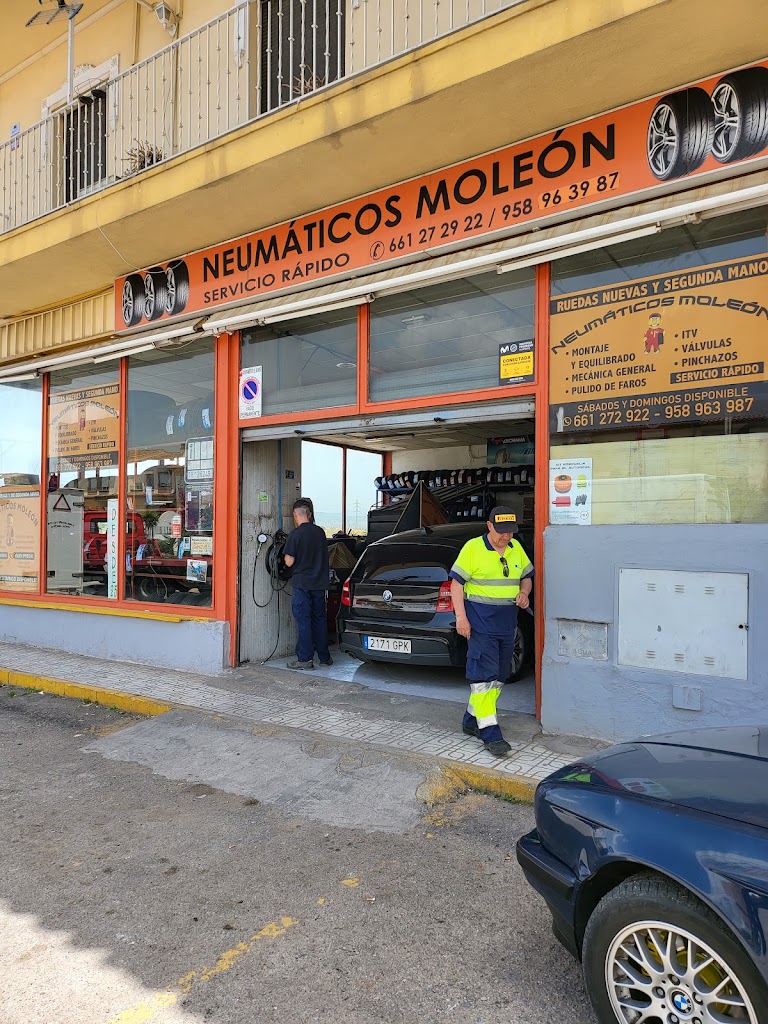 Neumaticos Moleon — Exterior
