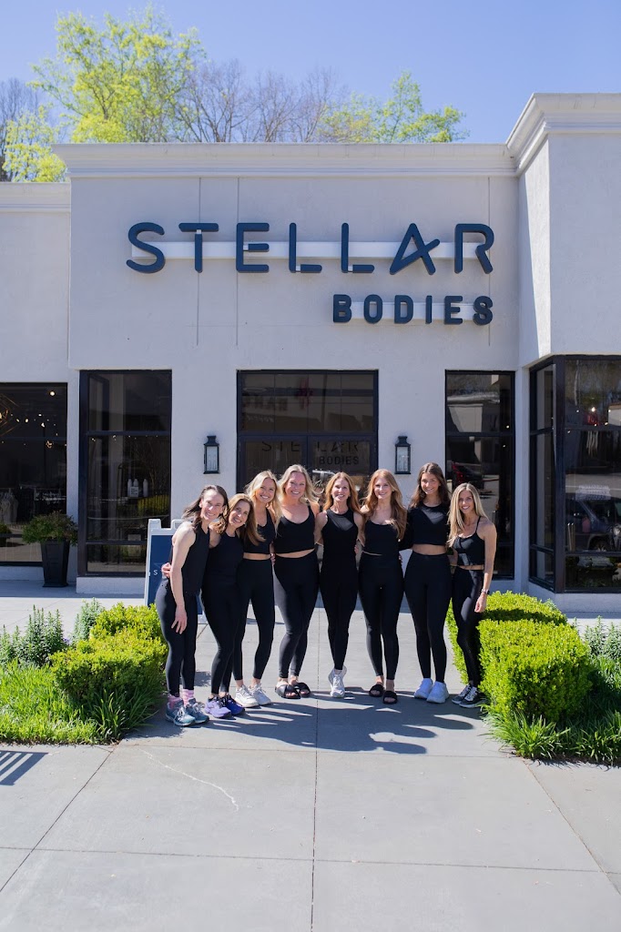  Stellar Bodies