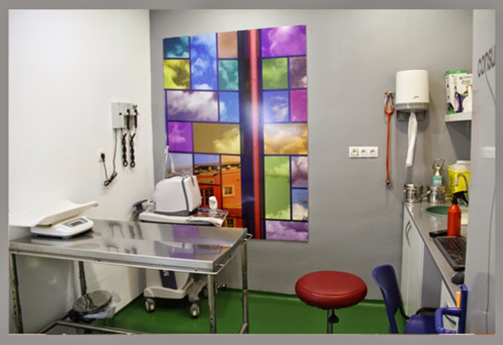 Clinica Veterinaria Salzillo