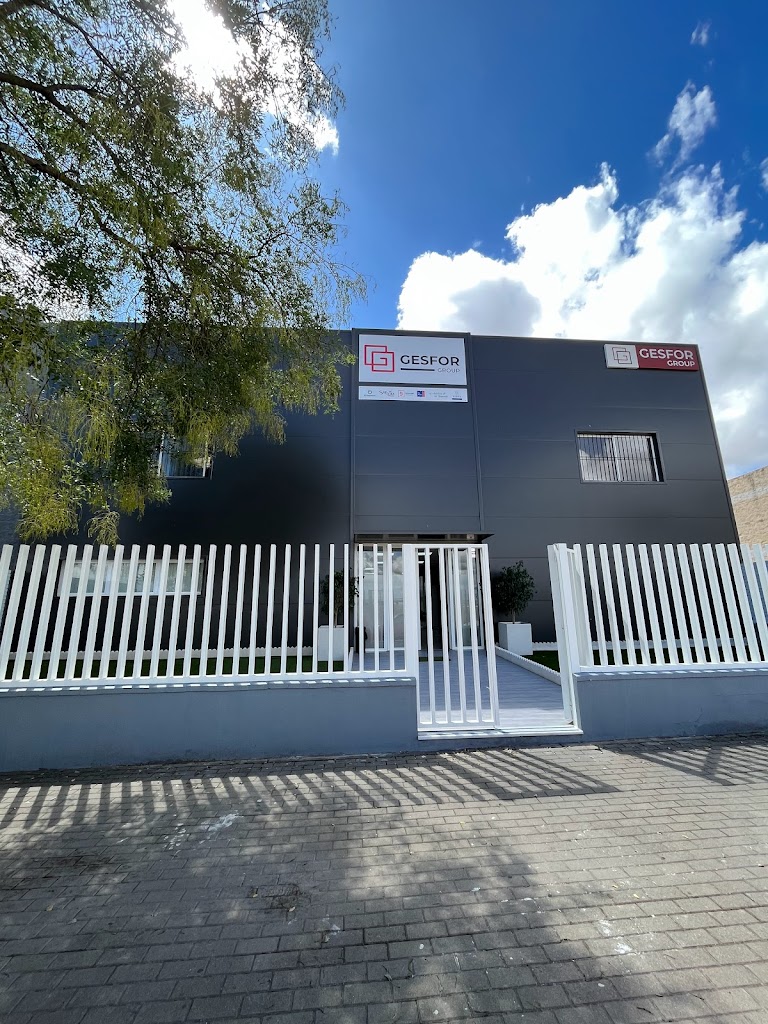 GESFOR Group