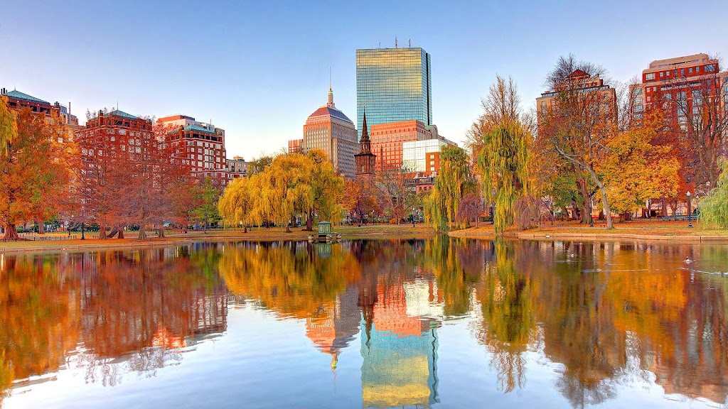 Seo Firm Boston