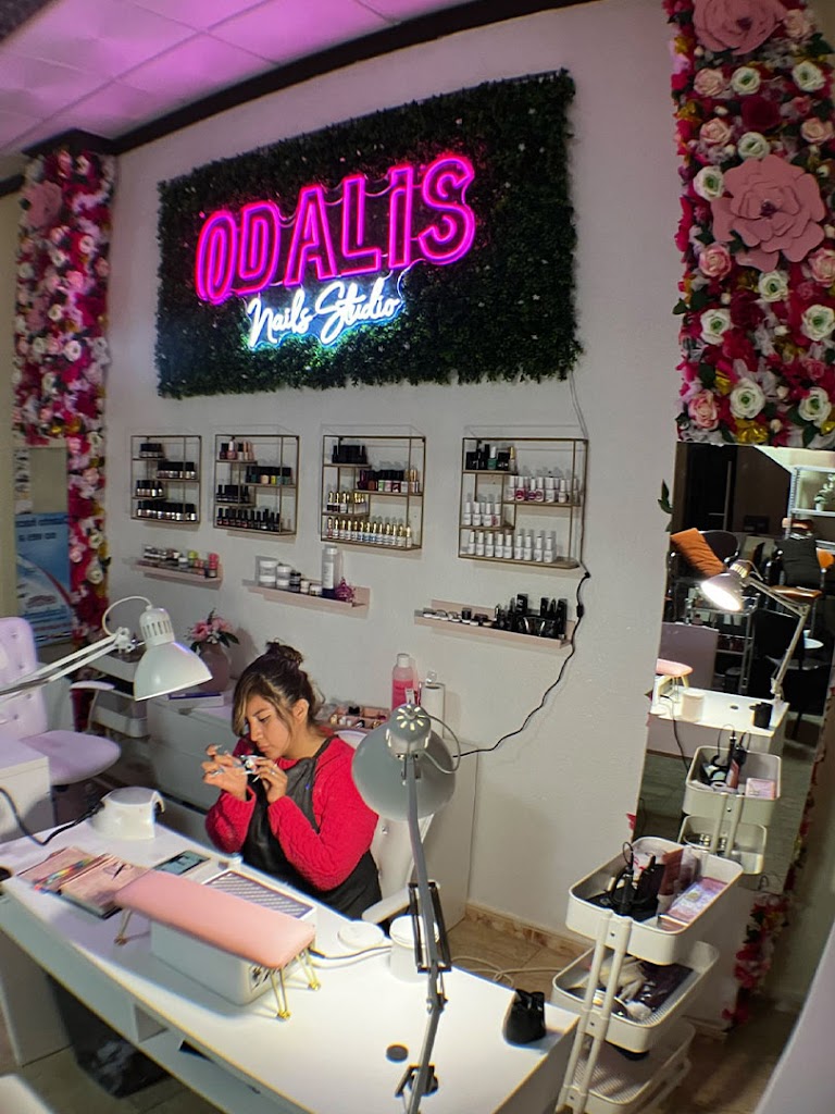 Odalis DVL Studio and Academy