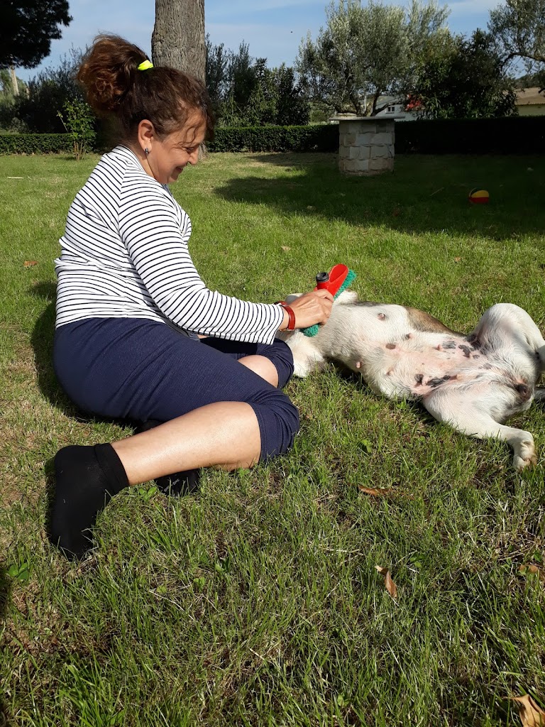 Centro de Jardineria FLORES CIUTAD